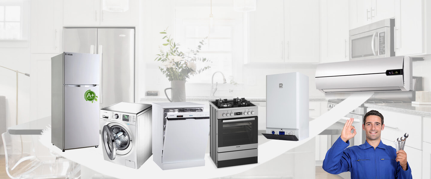 Sur Electrolux Servisi